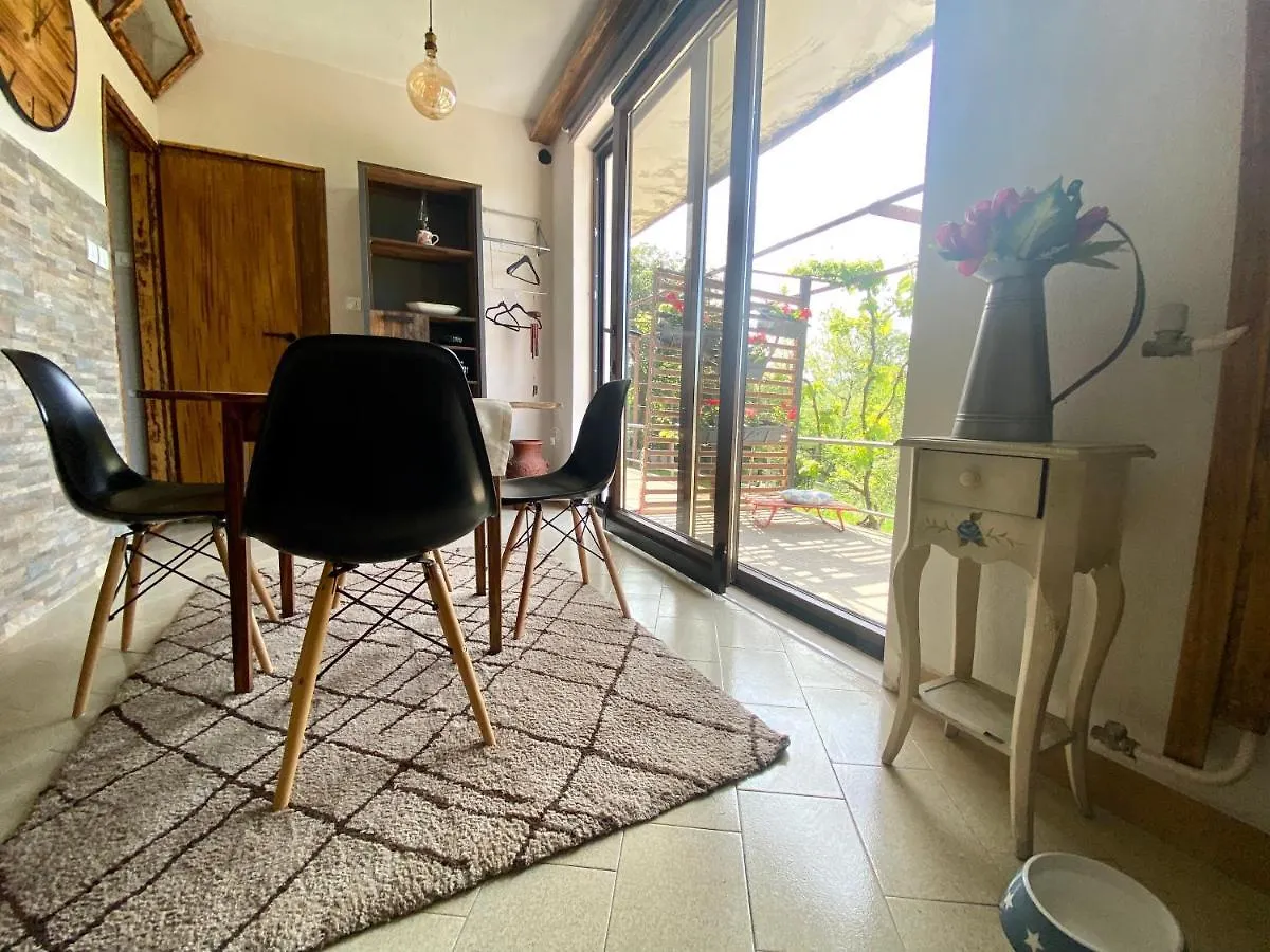 Apartman Verona Buzet Chorwacja